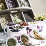 Resort Collina d'Oro